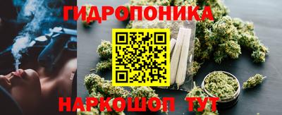 гидропоника Краснознаменск
