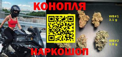 гидропоника Краснознаменск